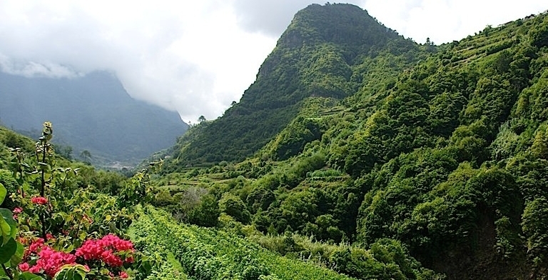 Henriques-madeira-2